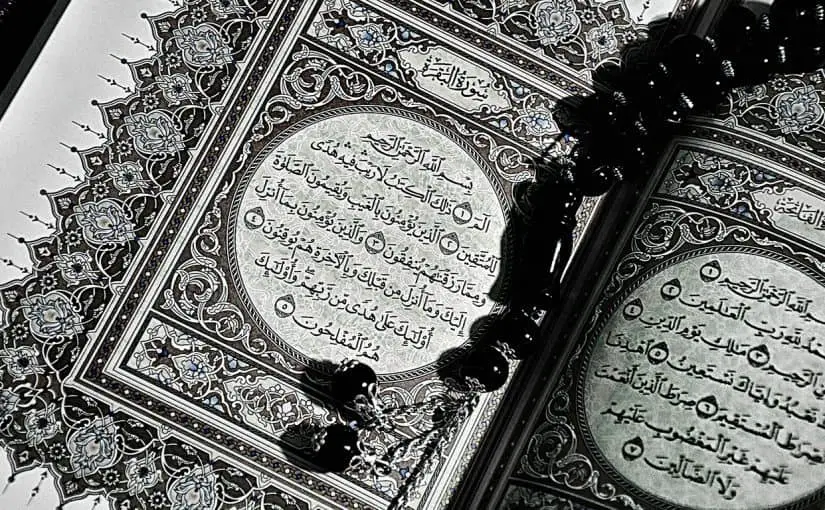 تفسير حلم سورة البقرة للعزباء
