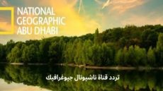 استقبل الان.. تردد قناة ناشيونال جيوغرافيك الجديد على نايل سات وعرب سات لمتابعة أفضل البرامج الوثائقية