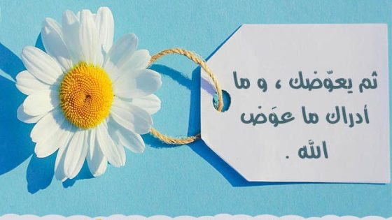 الرد على معوض خير، اذا أحد قالي معوض خير وش أرد