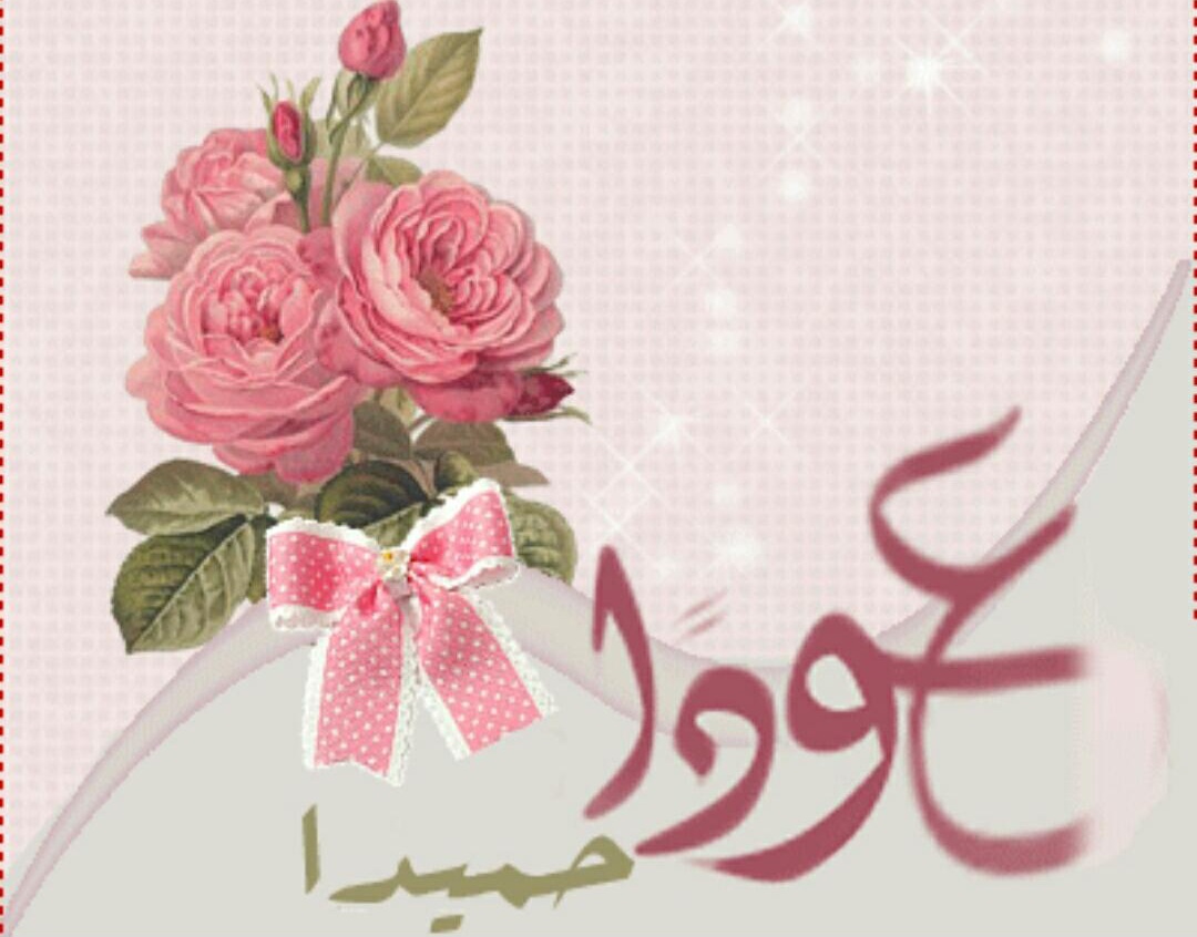 وش الرد على عودا حميدا.. ما معنى عودًا حميدًا