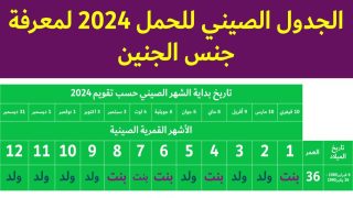 الجدول الصيني 2024 للحمل بولد.. تحديد ومعرفة جنس الجنين
