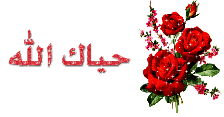 الردود على حياك الله