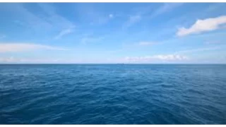 حلم شاطئ البحر